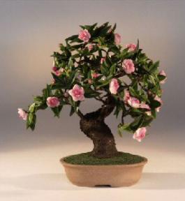 Artificial Flowering Camellia Bonsai Tree<br>