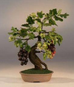 Artificial Wine Grape Bonsai Tree<br>