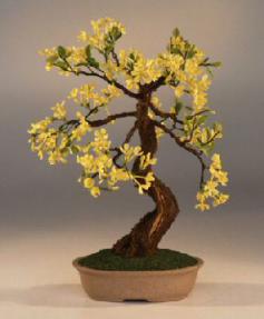 Artificial Bonsai Tree<br>Flowering Jasmine<br>