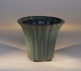 Green Cascade Bonsai Pot