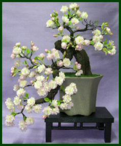 Artificial Cherry Blossom Bonsai Tree<br> 