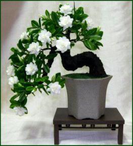 Artificial Gardenia Bonsai Tree<br>