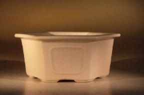 Ceramic Bonsai Pot  - White Hexagon