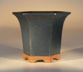 Ceramic Bonsai Pot - Hexagon Blue<br>5.5