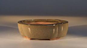 Ceramic Bonsai Pot - Irregular Oval<br>7.5