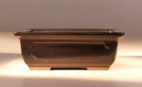 Ceramic Bonsai Pot - Glazed Rectangle