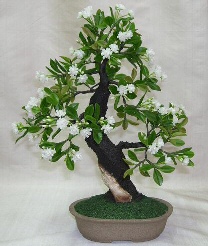 Artificial Flowering  Water Jasmine Bonsai Tree<br>