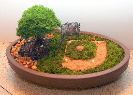 Tsukomo Cypress Bonsai Tree<br>Baseball Scene<br><i>(chamaecyparis pisifera tsukomo)</i>