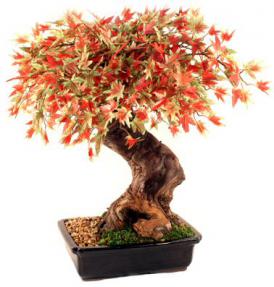 Artificial Japanese Maple Bonsai Tree - Large<br>