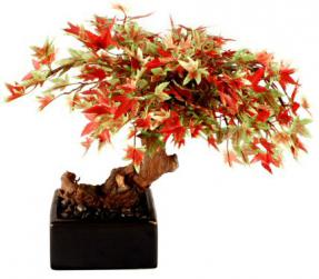 Artificial Japanese Maple Bonsai Tree - Small<br>