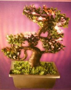 Artificial Fiber Optic Bonsai Tree 