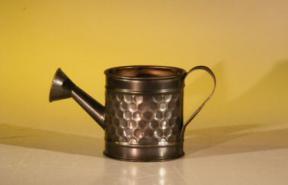 Mini Decorative Watering Can 