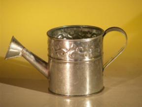 Mini Decorative Watering Can 