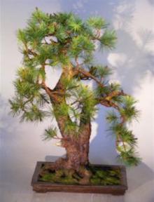Artificial Ming Pine Bonsai Tree <b>