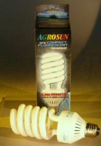 Grow Bulb Compact Fluorescent<br>32 Watt / 150 Watt Equivalent