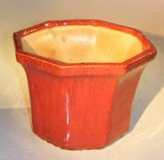 Red Ceramic Bonsai Pot - Octagon<br><i>8
