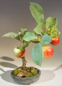 Artificial Apple Bonsai Tree<br>