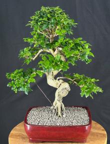 k1012