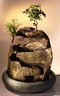 Bonsai Waterfall Garden with Two Bonsai Trees