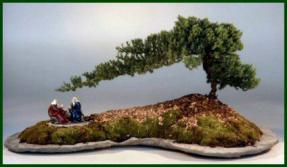 Juniper Bonsai Tree on a Slab<br><i>(juniper procumbens 