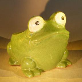 Green Frog Planter<br><i>7.0