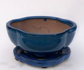 Blue Ceramic Bonsai Pot -Lotus Shaped<br>With Attached Humidity Drip Tray<br>6.25