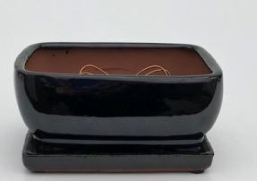 Black Ceramic Bonsai Pot- Rectangle <br>Professional Series With Attached Humidity/Drip Tray <br>8.25