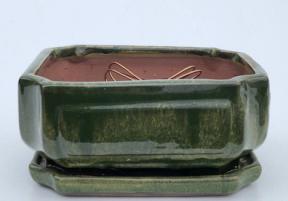 Wood-lawn Green Ceramic Bonsai Pot - Rectangle<br>Professional Series with Attached Humidity/Drip tray<br><i>8