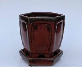 Parisian Red Ceramic Bonsai Pot - Hexagon<br>With Attached Humidity Drip Tray<br>5.5