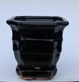 Black Ceramic Bonsai Pot - Square <br>With Attached Humidity / Drip Tray<br>5.5