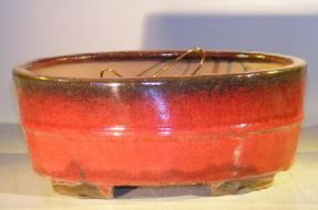 Parisian Red Ceramic Bonsai Pot - Oval <br>Professional Series <br><i>10