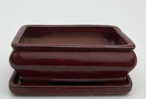 Parisian Red Ceramic Bonsai Pot - Rectangle<br>With Humidity Drip Tray<br>8