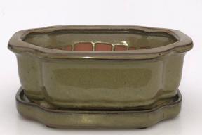 Olive Green Ceramic Bonsai Pot - Rectangle<br>With Humidity Drip Tray<br>8.5
