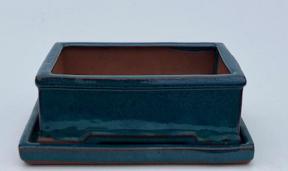 Blue / Green Ceramic Bonsai Pot - Rectangle<br>With Humidity Drip Tray<br>8.5