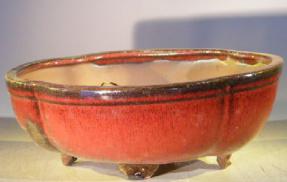 Parisian Red Ceramic Bonsai Pot - Oval<br>Professional Series<br><i>10