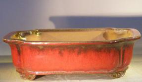 Parisian Red Ceramic Bonsai Pot - Rectangle<br><i>12.0