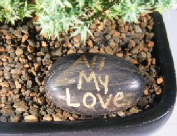 Personalized Skipping Stone - <br><i></i> 