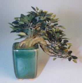 Artificial Bonsai Tree - up29 tall Bonsai Pot