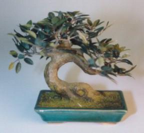 Artificial Bonsai Tree - up31 Rectangle Bonsai Pot