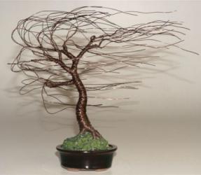 Bonsai Tree Sculpture (15